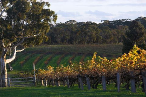 Barossa Valley With Hahndorf Tour From Adelaide - Sydney 4u 0