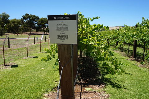 Barossa Valley With Hahndorf Tour From Adelaide - Sydney 4u 5