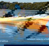 Adelaide Dolphin Sanctuary and Ships Graveyard Kayak Tour - Sydney 4u