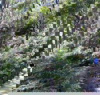Self-Guided Waterfall Gully to Mount Lofty Hike from Adelaide - Sydney 4u