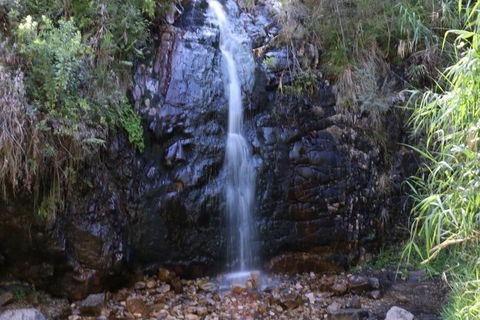 Self-Guided Waterfall Gully To Mount Lofty Hike From Adelaide - Sydney 4u 2