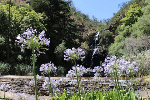 Self-Guided Waterfall Gully To Mount Lofty Hike From Adelaide - Sydney 4u 6