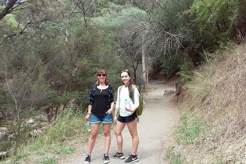 Self-Guided Waterfall Gully To Mount Lofty Hike From Adelaide - Sydney 4u 4