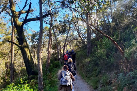 Self-Guided Waterfall Gully To Mount Lofty Hike From Adelaide - Sydney 4u 7