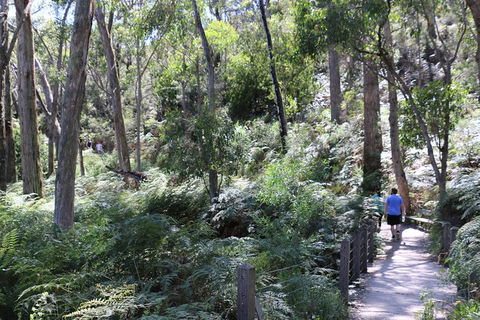 Self-Guided Waterfall Gully To Mount Lofty Hike From Adelaide - Sydney 4u 3