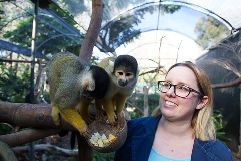 Adelaide Zoo Behind The Scenes Experience: Squirrel Monkey Feeding - Sydney 4u 0