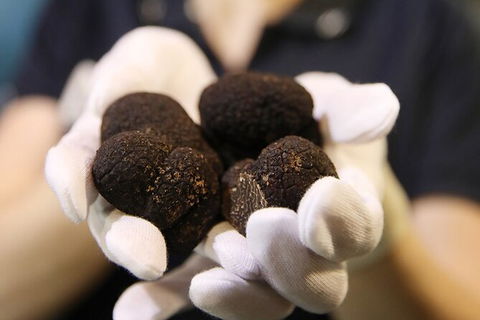 Adelaide Central Market Exclusive Tour - Accommodation Sydney 9