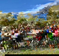 McLaren Vale Shiraz Trail Cycling Tour from Adelaide - Sydney 4u