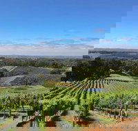 Small-Group Full-Day Adelaide Hills and Hahndorf Wine Tour from Adelaide