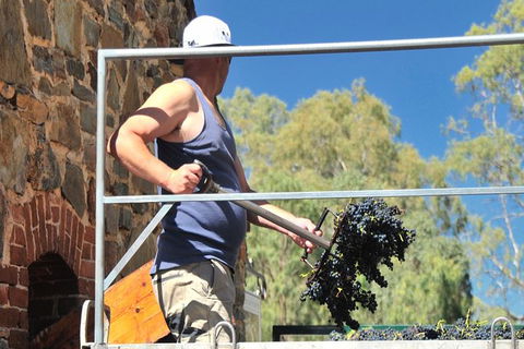 Small Tour Barossa Valley Voyager Tour From Adelaide Or Glenelg - Accommodation Sydney 3