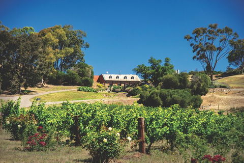 Small Tour Barossa Valley Voyager Tour From Adelaide Or Glenelg - Accommodation Sydney 9