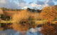 Small-Group Fleurieu Peninsula Food And Wine Experience By 4WD Including 3-Course Lunch - thumb 0
