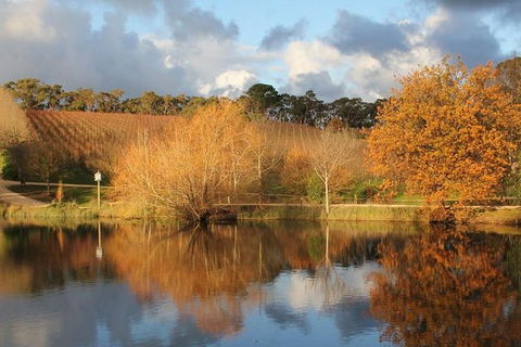 Small-Group Fleurieu Peninsula Food And Wine Experience By 4WD Including 3-Course Lunch - Accommodation Sydney 0