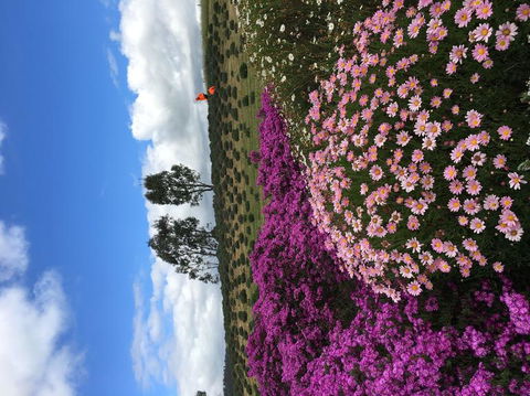 Small Group Gourmet Barossa Valley Day Trip From Adelaide - Accommodation Sydney 2