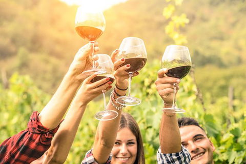 Adelaide Hills Day Tour. Winery Cellar Doors - Sydney 4u 6