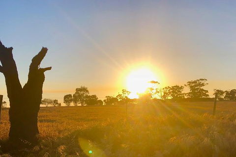 Bike Tour Strathalbyn & Langhorne Creek - Accommodation Sydney 3