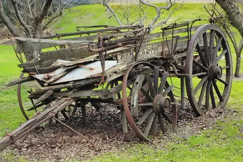 Barossa Valley Wine Tour (5 Hours) - Accommodation Sydney 6