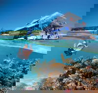 3-Day Southern Great Barrier Reef Tour Including Lady Musgrave Island - Accommodation Sydney