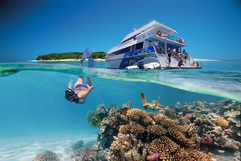 3-Day Southern Great Barrier Reef Tour Including Lady Musgrave Island - Sydney 4u 0