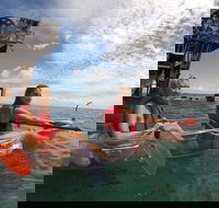 Moreton Island Day Trip Kayak Snorkel  Sandboard frm Brisbane or Gold Coast - Accommodation Sydney