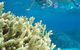 Silversonic Outer Great Barrier Reef Dive And Snorkel Cruise From Port Douglas - thumb 1