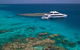 Silversonic Outer Great Barrier Reef Dive And Snorkel Cruise From Port Douglas - thumb 2