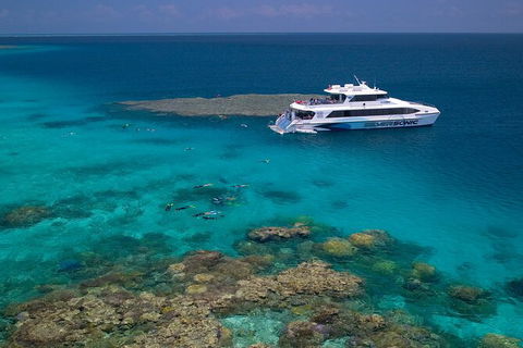 Silversonic Outer Great Barrier Reef Dive And Snorkel Cruise From Port Douglas - Accommodation Sydney 2