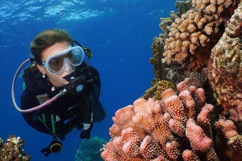 Silversonic Outer Great Barrier Reef Dive And Snorkel Cruise From Port Douglas - Accommodation Sydney 5
