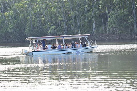 Daintree - Cape Tribulation & Atherton Tablelands Tours From Port Douglas - Sydney 4u 16