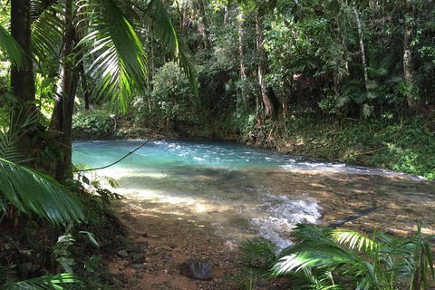 Daintree - Cape Tribulation & Atherton Tablelands Tours From Port Douglas - Sydney 4u 5