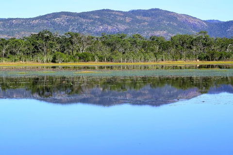Daintree - Cape Tribulation & Atherton Tablelands Tours From Port Douglas - Sydney 4u 13