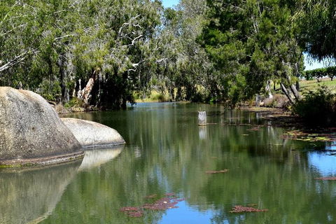 Daintree - Cape Tribulation & Atherton Tablelands Tours From Port Douglas - Sydney 4u 28