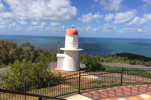 Daintree - Cape Tribulation & Atherton Tablelands Tours From Port Douglas - Sydney 4u 21