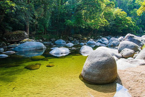 Daintree - Cape Tribulation & Atherton Tablelands Tours From Port Douglas - Sydney 4u 6