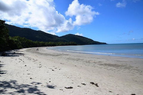 Daintree - Cape Tribulation & Atherton Tablelands Tours From Port Douglas - Sydney 4u 18
