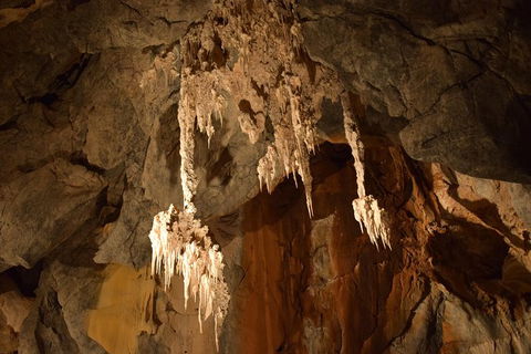 Daintree - Cape Tribulation & Atherton Tablelands Tours From Port Douglas - Sydney 4u 23