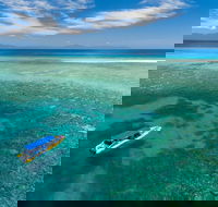 Ocean Safari Great Barrier Reef Experience in Cape Tribulation - Sydney 4u