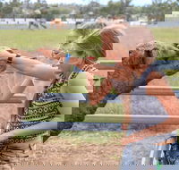 Camel Farm Deluxe Experience - Accommodation Sydney