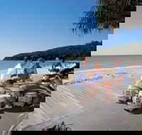 Noosa and Sunshine Coast Hinterland Day Trip from Brisbane - Accommodation Sydney