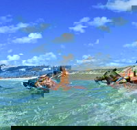 Horse Swimming Ride from Rainbow Beach - Accommodation Sydney