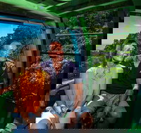 Skyrail Rainforest Cableway Day Trip from Palm Cove - Accommodation Sydney