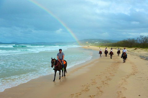 Rainbow Beach Horse Ride - Accommodation Sydney 0