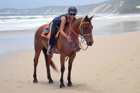 Rainbow Beach Horse Ride - Accommodation Sydney 2