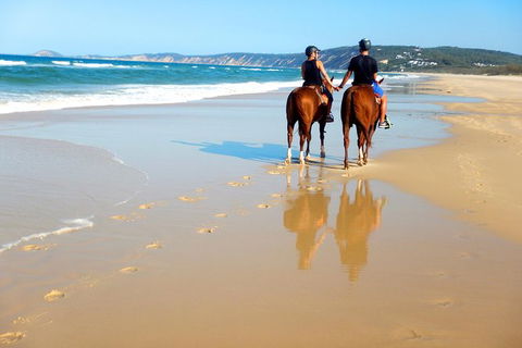 Rainbow Beach Horse Ride - Accommodation Sydney 3