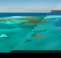 Great Barrier Reef Dive and Snorkel Cruise from Mission Beach - Sydney 4u