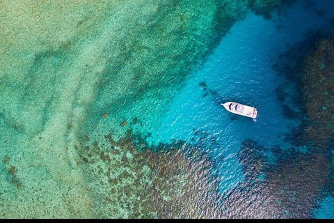 Great Barrier Reef Dive And Snorkel Cruise From Mission Beach - Sydney 4u 3