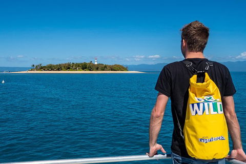 Half Day Low Isles Snorkelling Tour From Port Douglas - Accommodation Sydney 5
