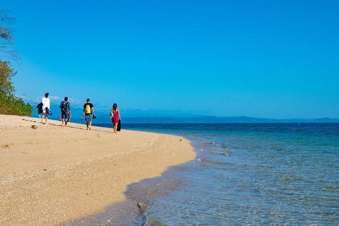 Half Day Low Isles Snorkelling Tour From Port Douglas - Accommodation Sydney 3