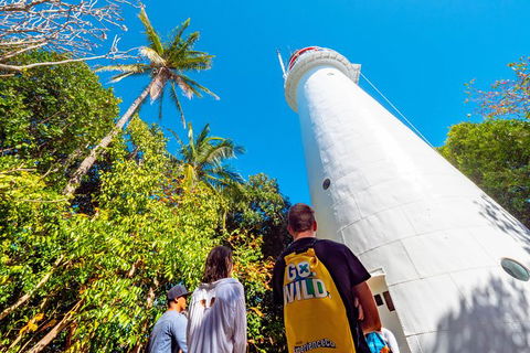 Half Day Low Isles Snorkelling Tour From Port Douglas - Accommodation Sydney 7