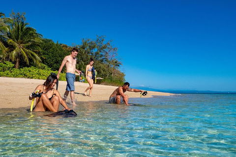 Half Day Low Isles Snorkelling Tour From Port Douglas - Accommodation Sydney 2